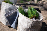 Commitment to Sustainability