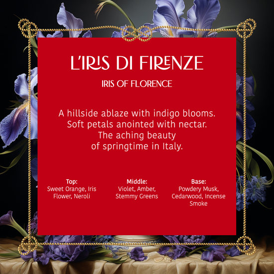 L'iris di Firenze / Iris of Florence (IRIS0002)